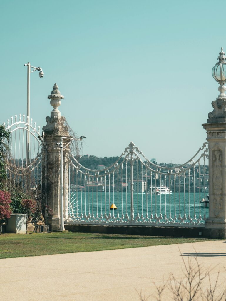 Elegant wrought iron gate with decorative elements, overlooking a serene body of water, surrounded by lush greenery and flowers, symbolizing high-quality fencing solutions.